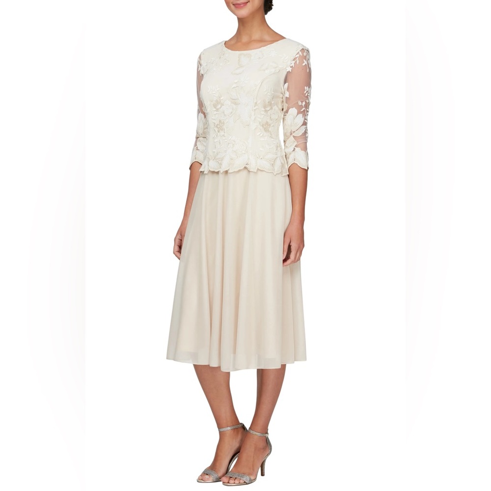 ALEX EVENINGS Illusion Sleeve Embroidered Dress